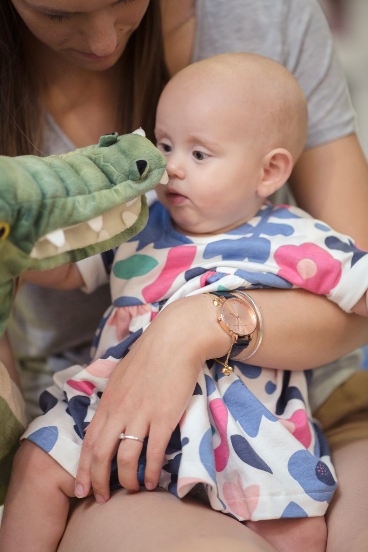 crocodile